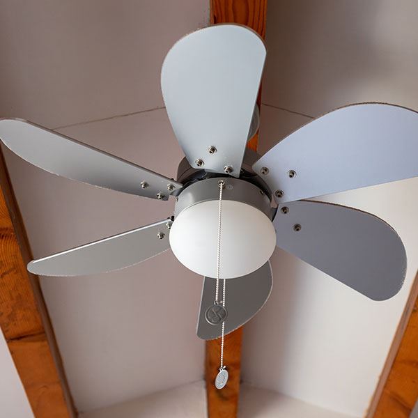 Ceiling Fans